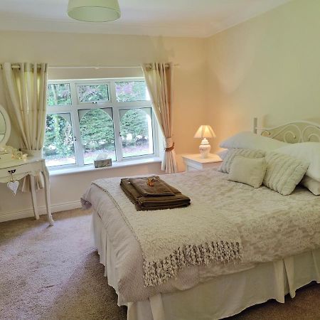 Rooms At Ballysax House The Curragh Exterior photo